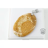 Korall fosszília fúrt medál 5630