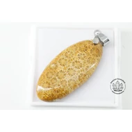 Korall fosszília hosszú ovális fúrt medál 4800 Korall fosszília hosszú ovális fúrt medál 4800