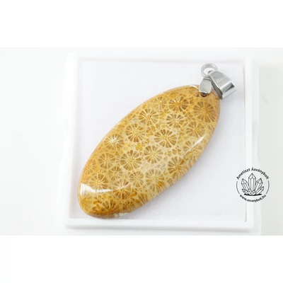 Korall fosszília hosszú ovális fúrt medál 4800 Korall fosszília hosszú ovális fúrt medál 4800