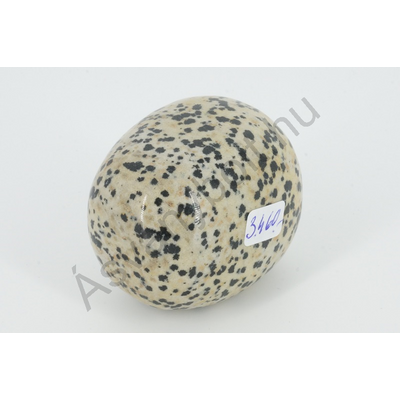 Dalmata jáspis extra egyedi marokkő 3460