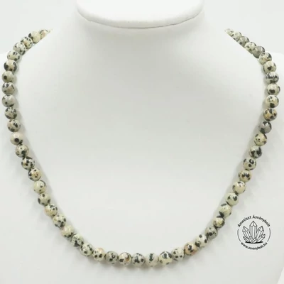 Dalmatajáspis 6-os lánc