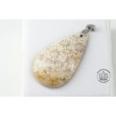 Korall fosszília csepp medál 6100