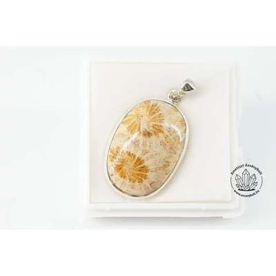 Korall fosszilia kaboson medál ezüstben 27850