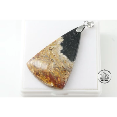 Pálma gyökér fosszilia medál 11400 Pálma gyökér fosszilia medál 11400