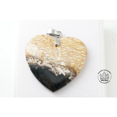 Pálma gyökér fosszilia szív medál 9220