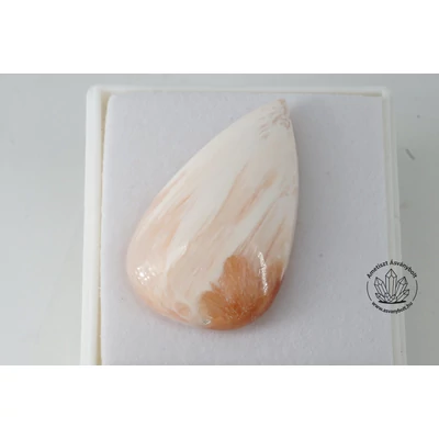 Skolecit extra csepp kaboson 6720