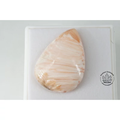 Skolecit extra csepp kaboson 6820