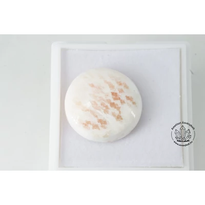 Skolecit korong kaboson 4460