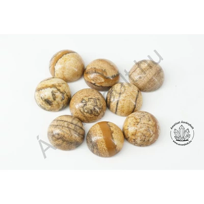 Tájképjáspis 10 mm-es kaboson