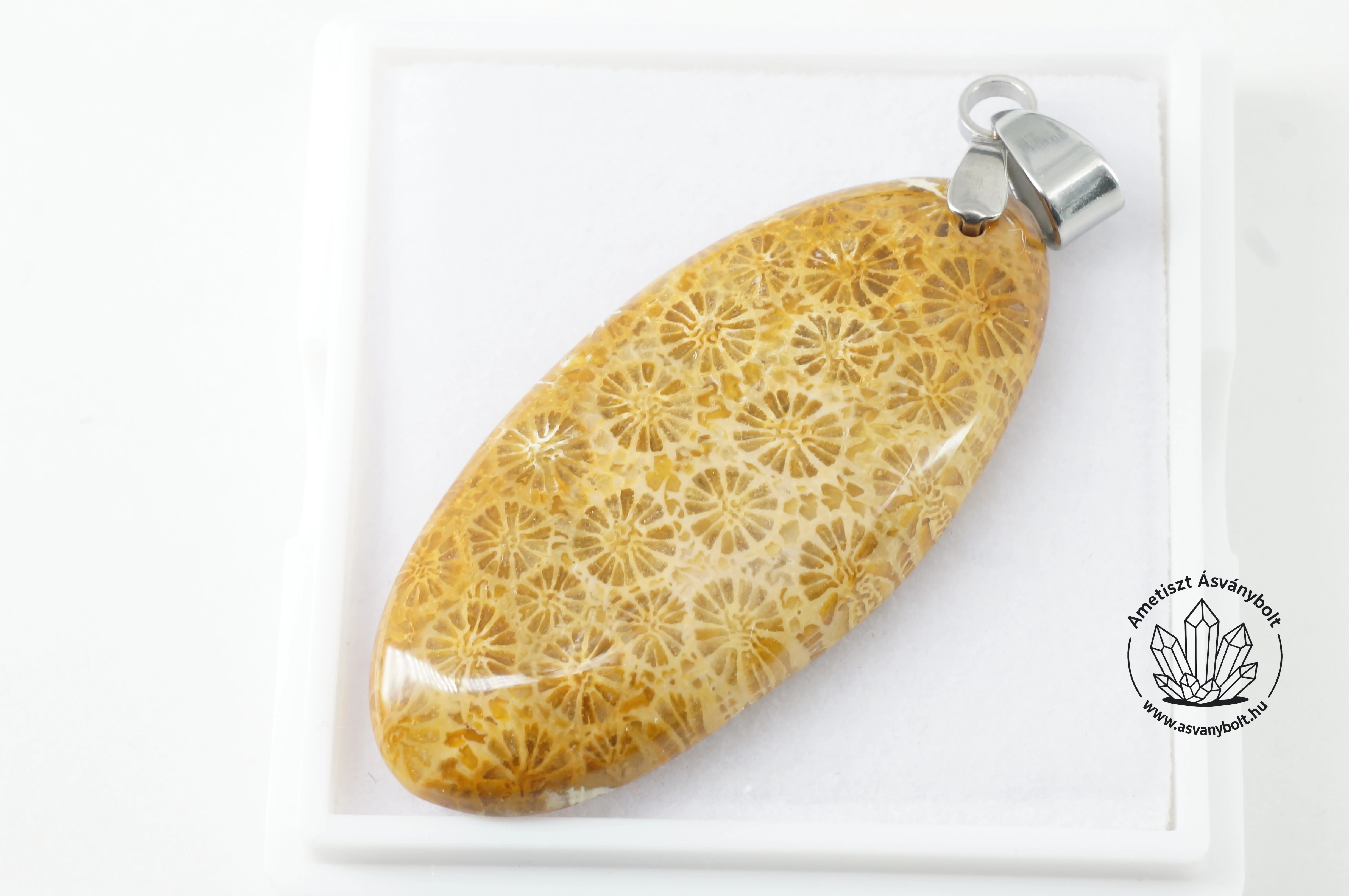 Korall fosszília hosszú ovális fúrt medál 4800