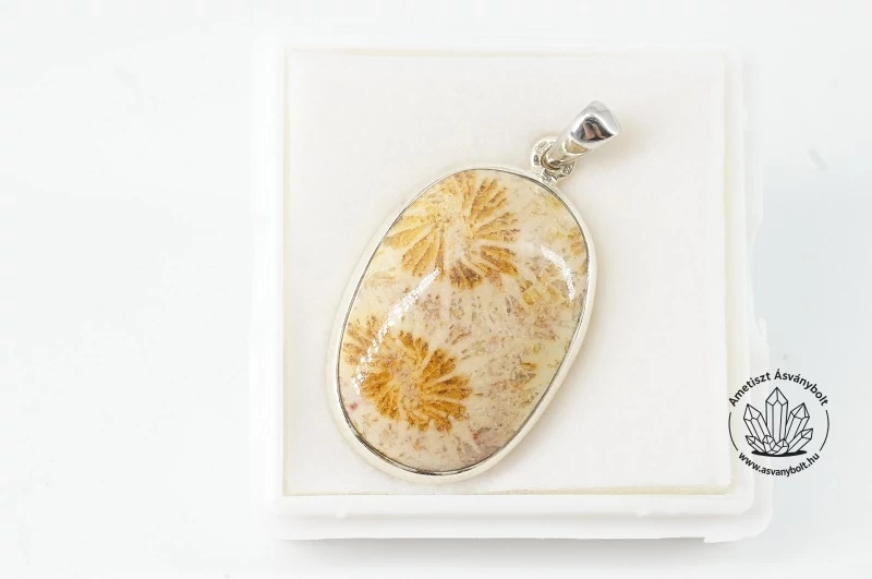Korall fosszilia kaboson medál ezüstben 27850