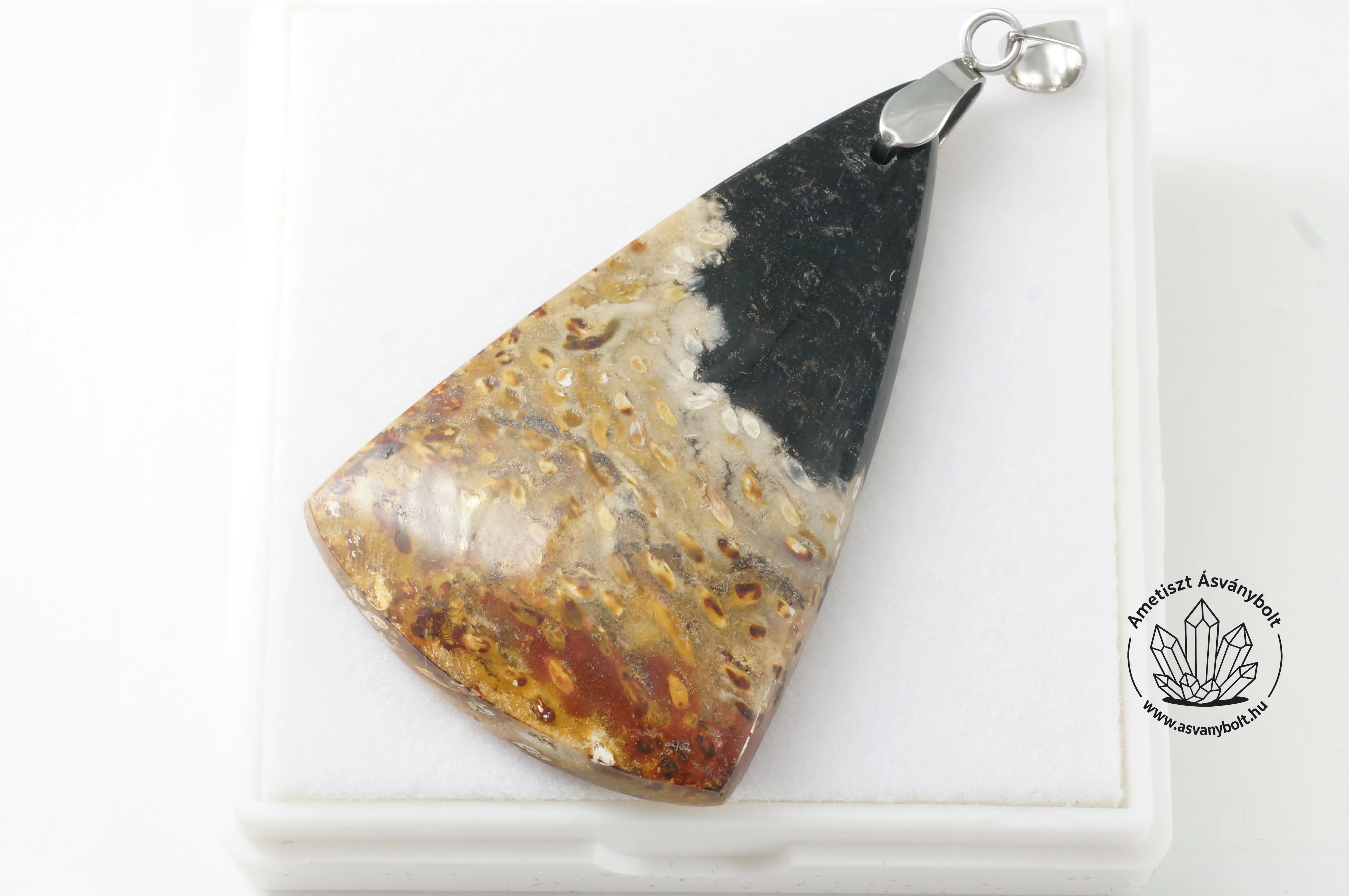 Pálma gyökér fosszilia medál 11400