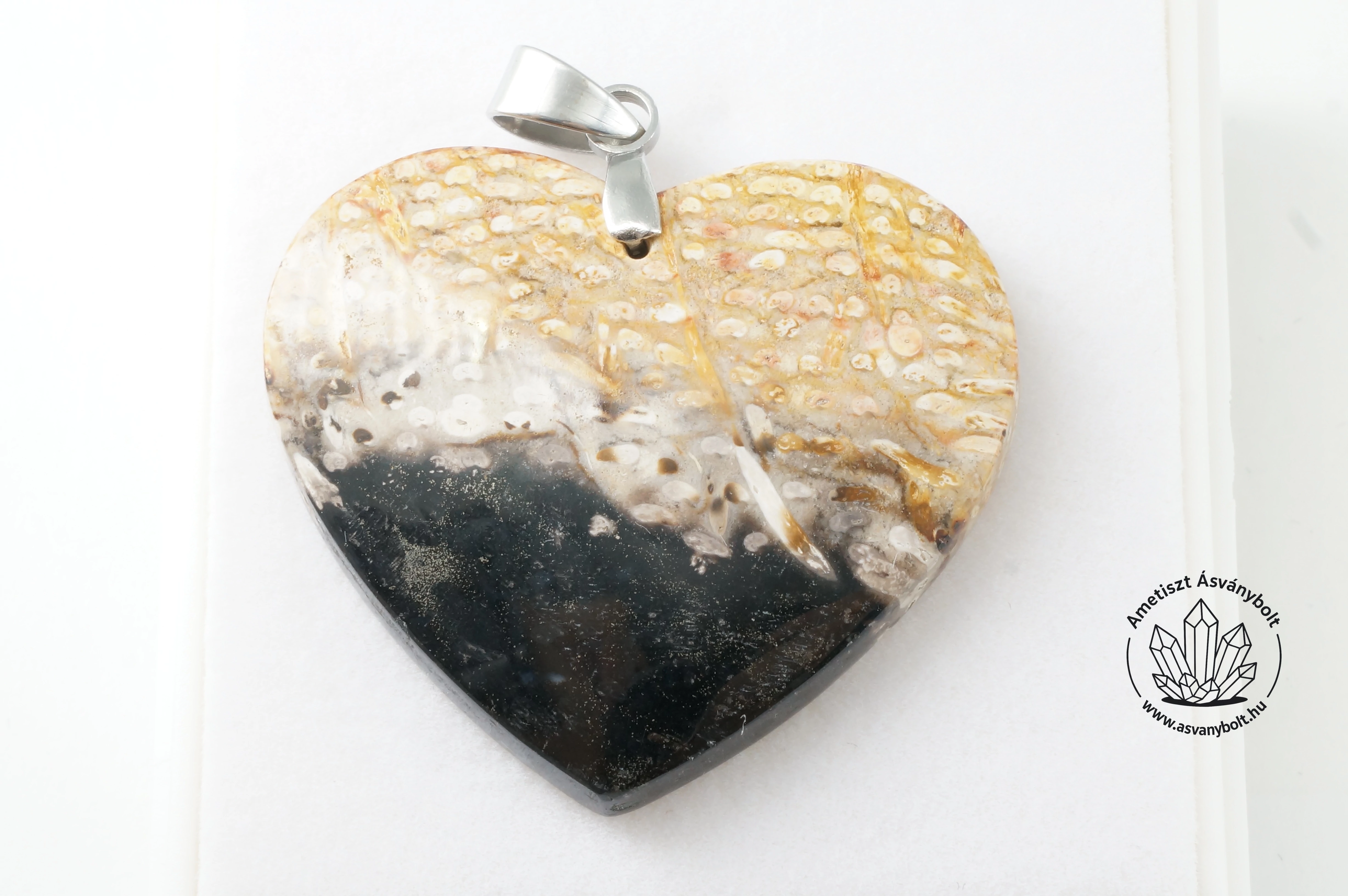Pálma gyökér fosszilia szív medál 12200