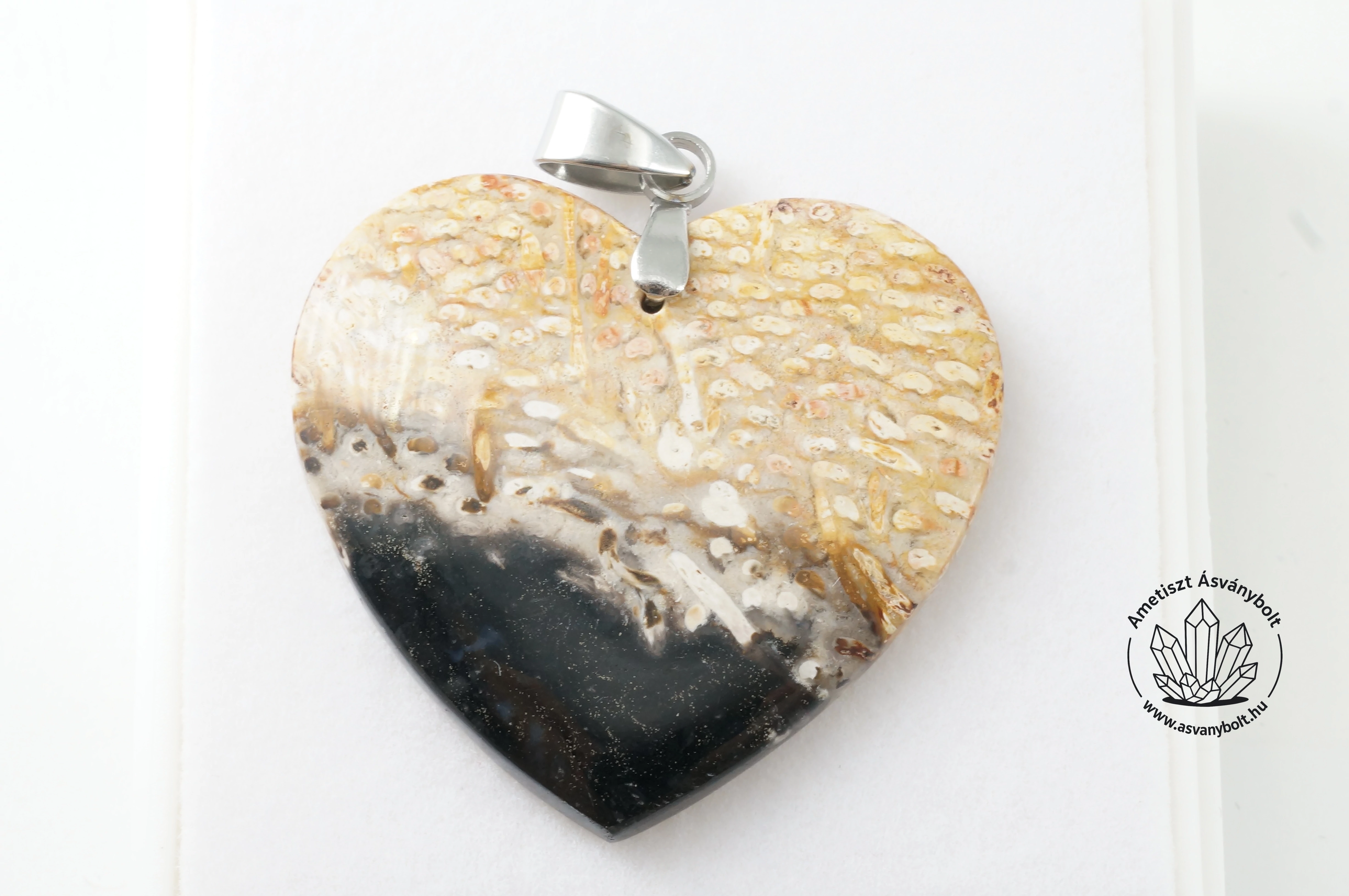 Pálma gyökér fosszilia szív medál 9220